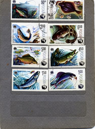 ПОЛЬША, 1979,   рыбы, серия  8м,  гашен