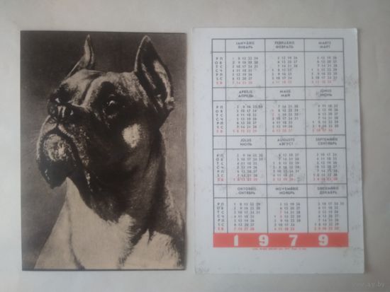Карманный календарик. Собака.1979 год