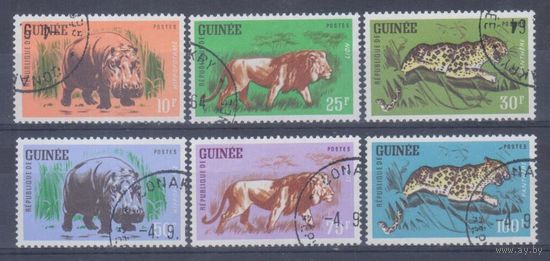 [1775] Гвинея 1962. Фауна. Гашеная серия.