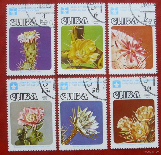 Куба. Кактусы. ( 6 марок ) 1978 года. 1-17.