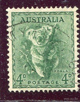 Австралия, Стандарт. Фауна. Коала