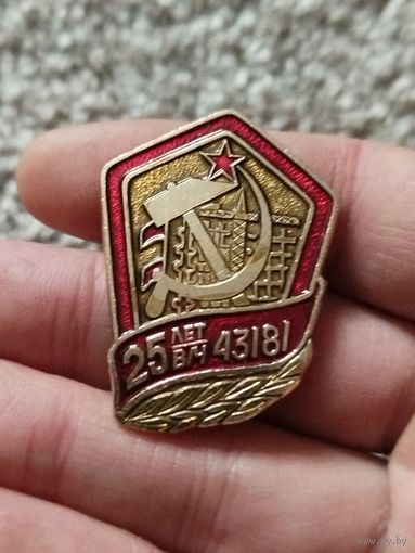 25 лет всё 43181