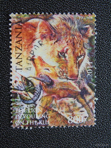 Танзания 2011 г. Лев.