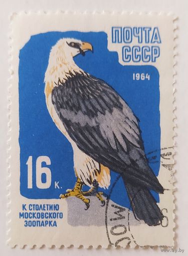 СССР 1964, 100 лет московскому зоопарку