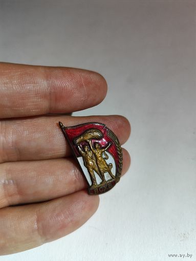 Знак ВСХВ СССР большой