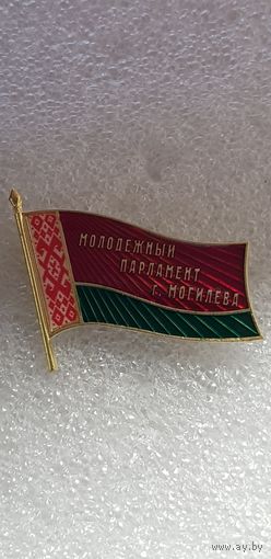 Молодежный парламент г.Могилева