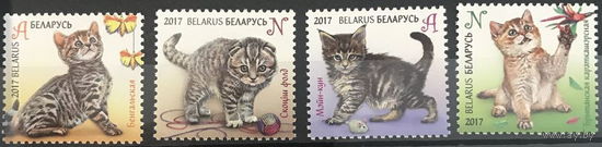 Беларусь 2017  Детская филателия. Котята