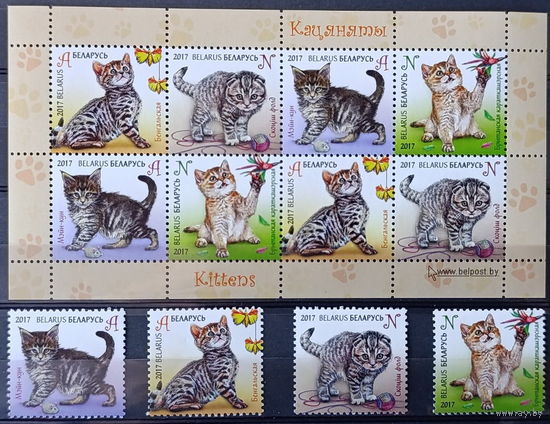 Беларусь 2017 Детская филателия. Котята (серия+М/Л)