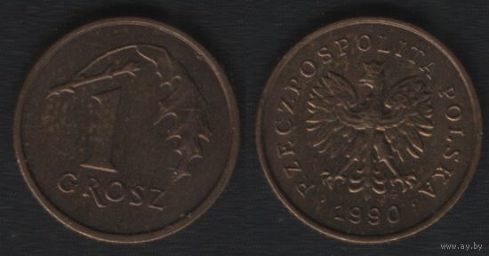 Польша y276 1 грош 1990 год (mw) (обращ) (_alb2