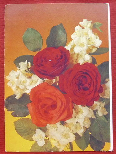 Цветы. Подписанная. Двойная. 1990 года. Дергилева. 885.