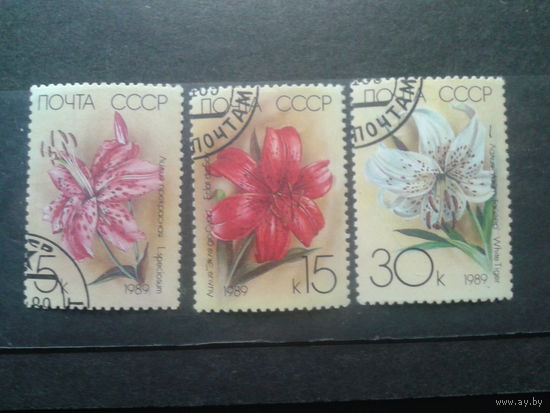 1989 Цветы, лилии