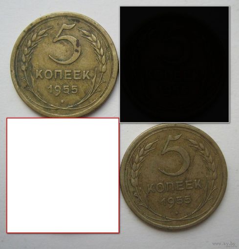 5 коп.СССР 1955г. Цена за одну.