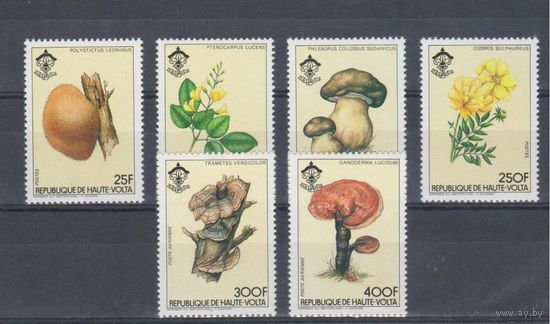 [932] Верхняя Вольта 1984. Флора.Грибы и растения. СЕРИЯ MNH. Кат.30 е.