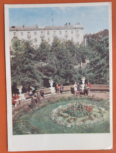 Гомель. Сквер ля драматычнага тэатра (Сквер около драматического театра). 1966 г. Чыстая.