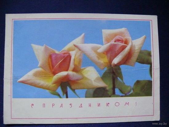 Фото Дергилева И., С праздником! 1968, подписана (1).