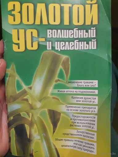 Золотой ус волшебный и целебный. (1)