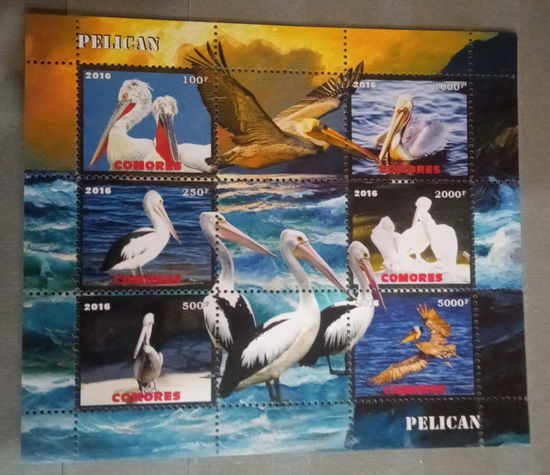 СЕРИЯ Блоков птицы  фауна MNH