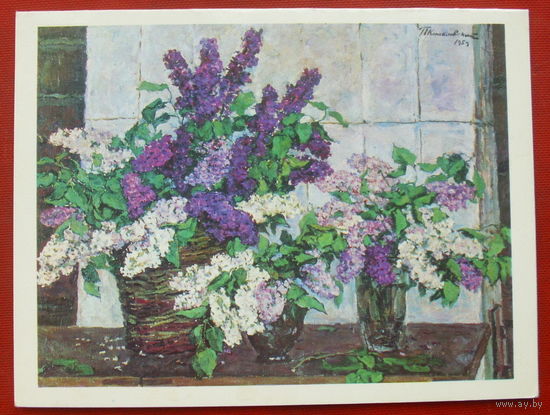 Сирень. Чистая. Двойная. 1975 года. 729.