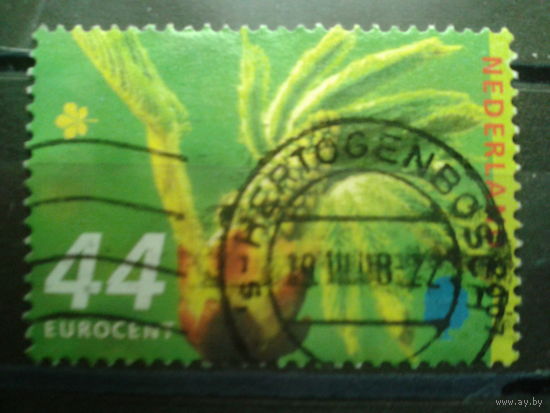 Нидерланды 2007 Флора