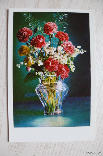 Костенко Г., С праздником! 1976, чистая.