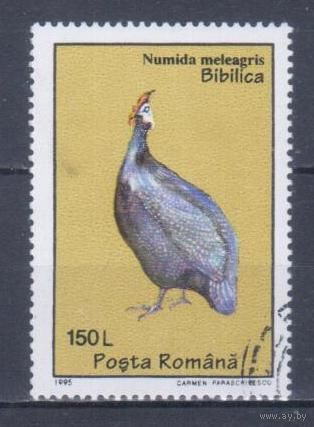 [1446] Румыния 1995. Фауна.Птицы.Цесарка. Гашеная марка.