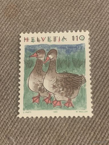 Швейцария 1995. Гуси