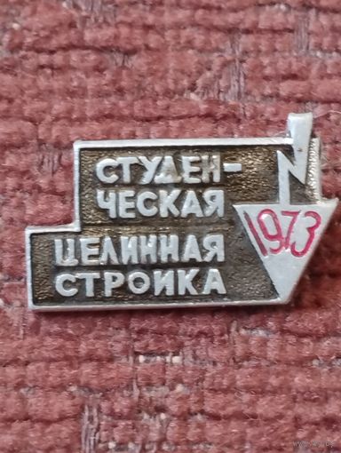 Студенческая целинная стройка1973 г.