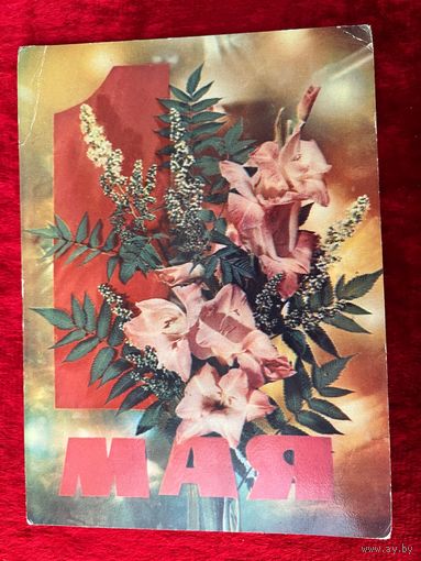 И. Дергилев. 1 Мая. 1971 год. Подписана.