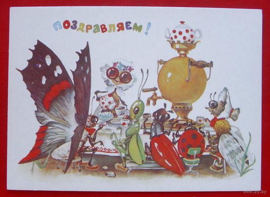 Поздравляем! Чистая. 1984 года. Ясюкевич. 190.