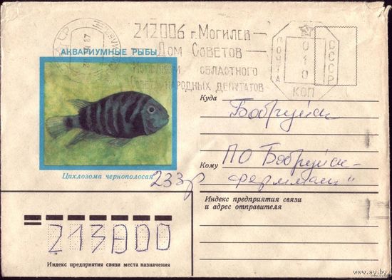 1982 год Циклозома