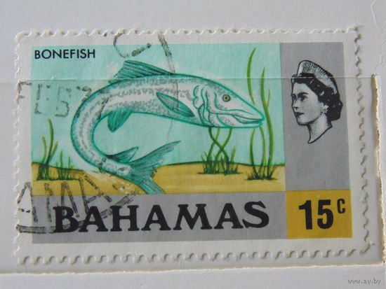 Багамы 1971 г. Фауна.