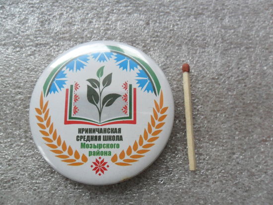Криничанская средняя школа