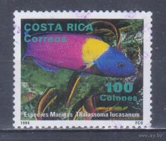 [634] Коста-Рика 1994. Фауна.Рыбы. Гашеная марка.