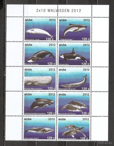 ФФ3 Аруба 2012 Киты