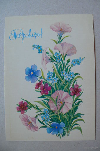 Линде Г., Поздравляю! 1981, чистая.