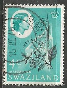Свазиленд. Королева Елизавета II. Ветка кофе. 1962г. Mi#97.