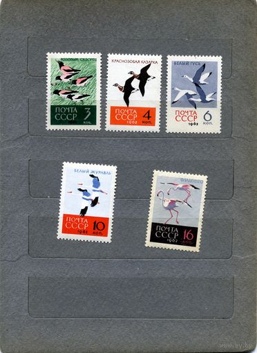 СССР, 1962, ПТИЦЫ **, серия 7м,  Заг. 2703-07   чистая