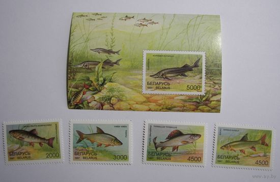 Рыбы. 4м. + блок. 1997г.