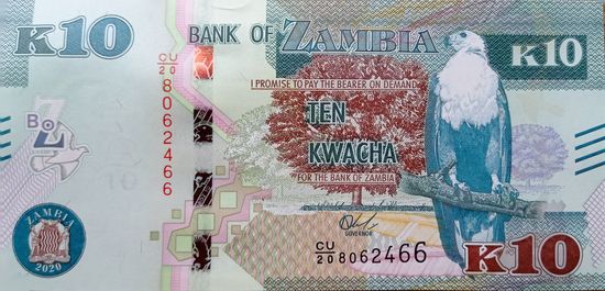 Werty71 Замбия 10 квача 2020 UNC банкнота