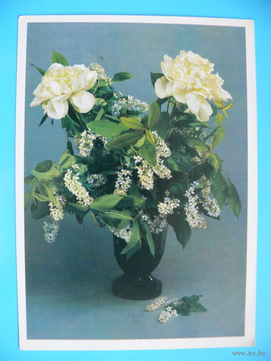 Сайфи Ч., Букет, 1981, чистая.