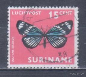 [2338] Суринам 1972. Фауна.Бабочка.15с. Гашеная марка.