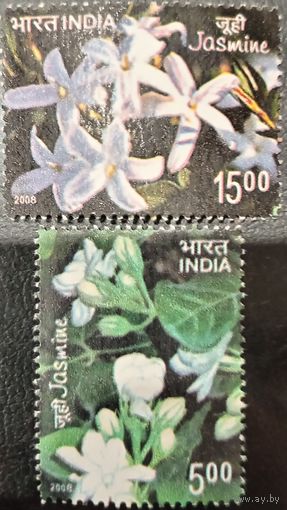 Индия 2008. Флора. Жасмин