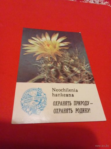 Календарик 1986г.