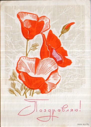 Подписанная открытка 1969г. "Поздравляю! Маки" худ. Л. Сильянов