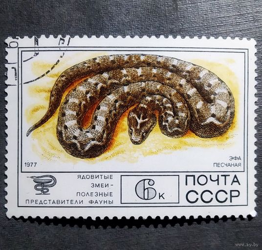 Марка СССР 1977 год Фауна