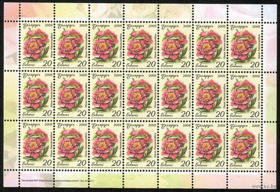 Беларусь. 2008. Стандарт. Пион (20р) (з.43-2011) Лист