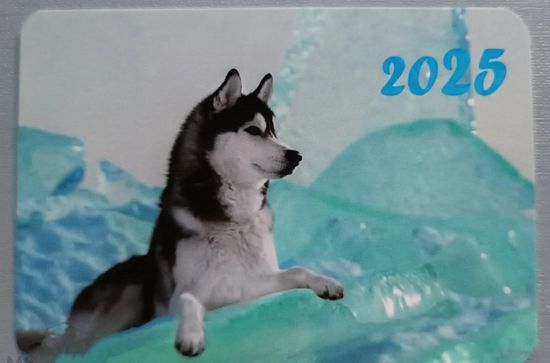 Собака. Календарик, 2025, глянец