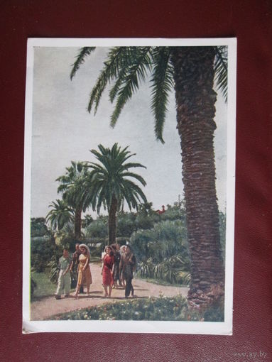 Почтовая открытка.СССР.1955г.