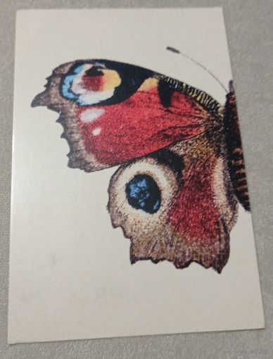 Посткроссинг. Открытка из Австрии:бабочка (10х15). Прошла почту. Художественная марка, штемпель.