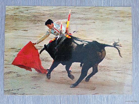 Этнография. Испания. Коррида
